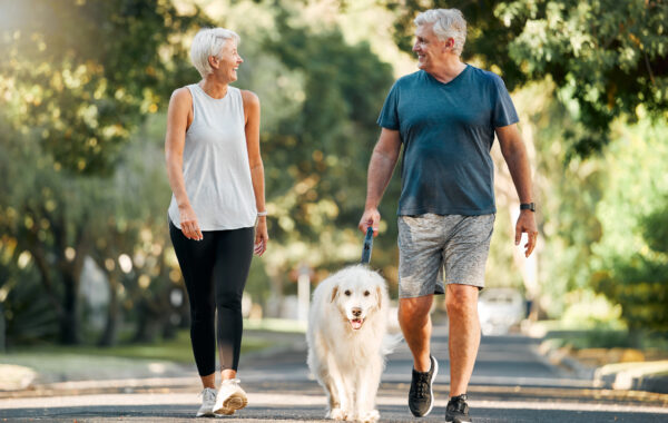 Retirement, fitness and walking with dog and couple in neighborhood park for relax, health and sports workout. Love, wellness and pet with old man and senior woman in outdoor morning walk together